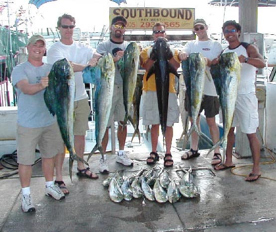 Everyone gets a big fish in Key West !!