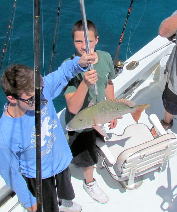 Mutton snapper Caught in Key West fishing on charter boat Southbound