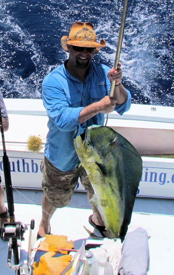 Big dolphin Fish Caught in Key West fishing on charter boat Southbound