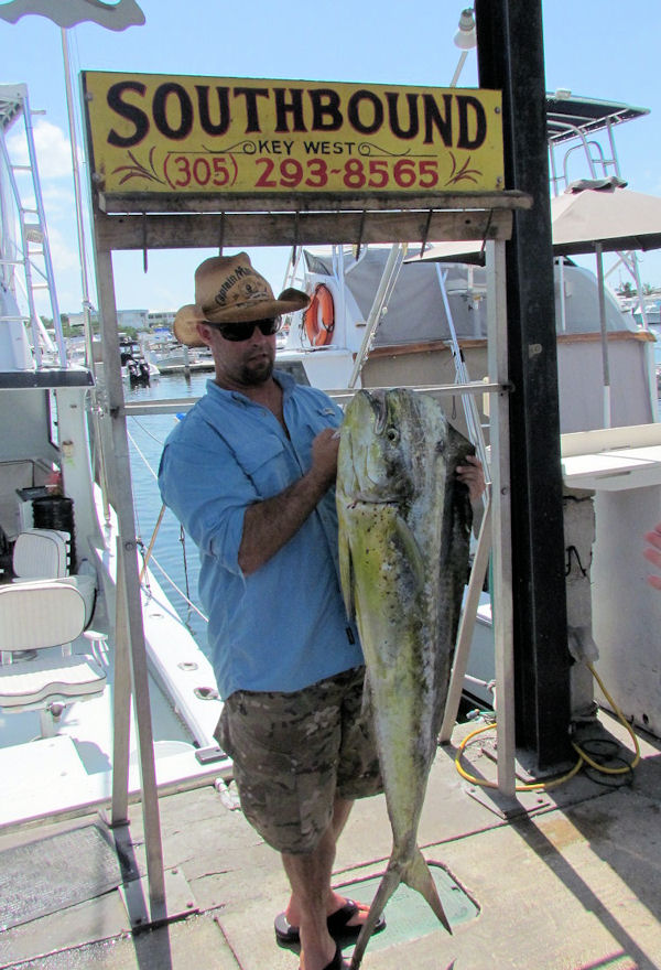 Bull dolphin Fish Caught in Key West fishing on charter boat Southbound
