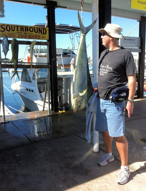 Dolphin caught fishing in Key West on Charter Boat Southbound from Charter Boat Row Key West