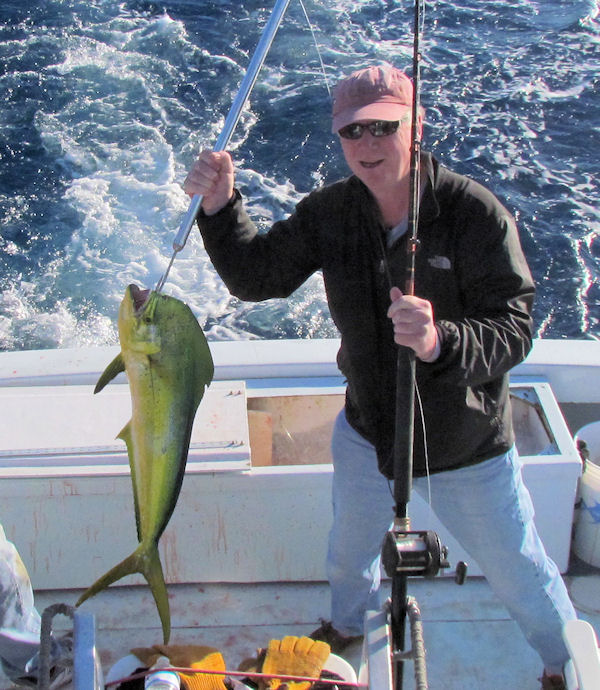 Dolphin caught fishing in Key West on Charter Boat Southbound from Charter Boat Row Key West