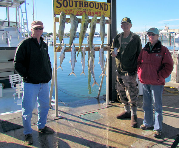 Dolphin and Mackerels caught fishing in Key West on Charter Boat Southbound from Charter Boat Row Key West