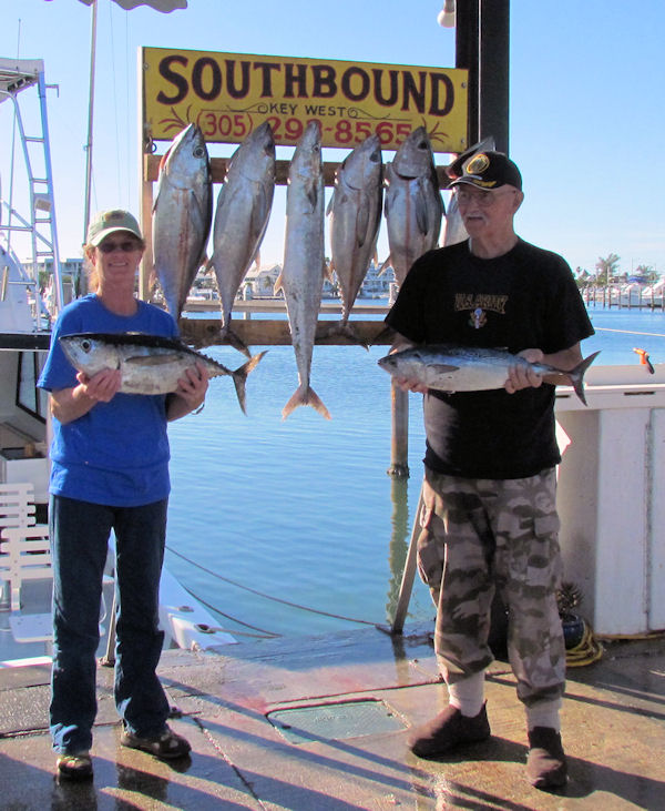 Black Fin Tuna caught fishing in Key West on Charter Boat Southbound from Charter Boat Row Key West