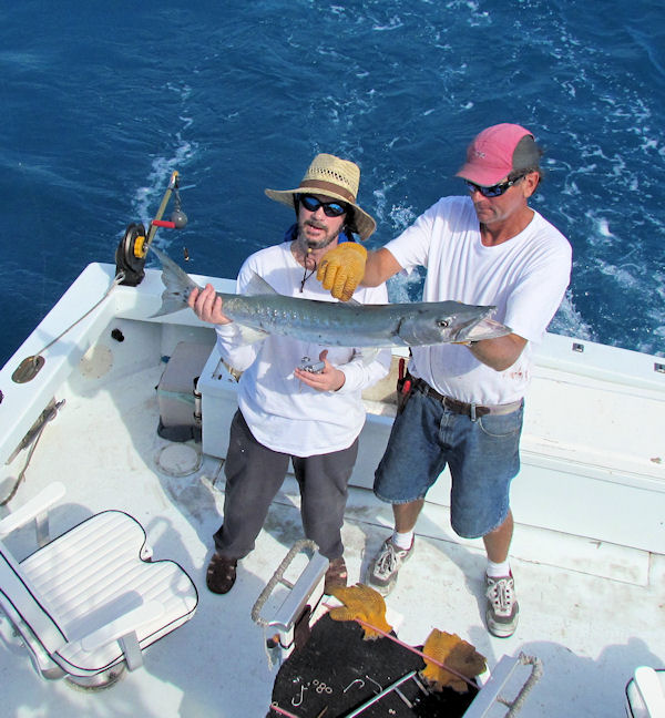 Barracuda caugth in Key West fishing on charter boat Southbound from Charter Boat Row Key West
