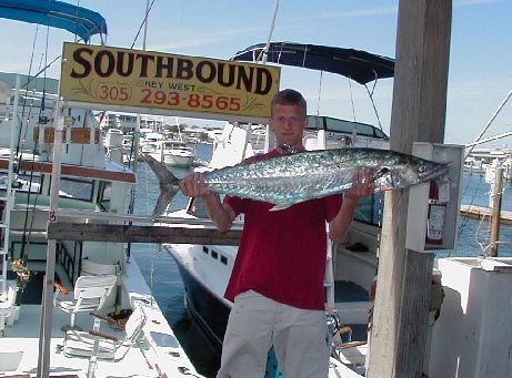 Key West Kingfish