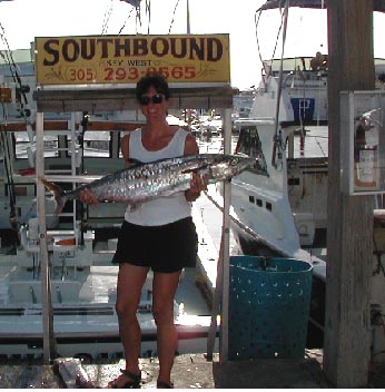 Key West Kingfish