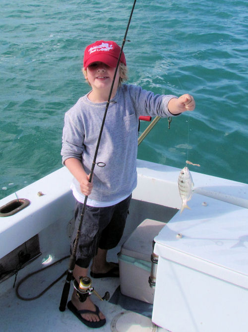Pinfish caught fishing in Key West on Charter Boat Southbound from Charter Boat Row Key West