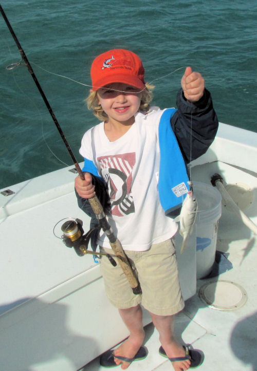 Pinfish caught fishing in Key West on Charter Boat Southbound from Charter Boat Row Key West