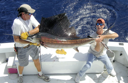 Sailfish caught and released on Key West deep sea fishing charter boat Southbouhd from Charter Boat Row Key West