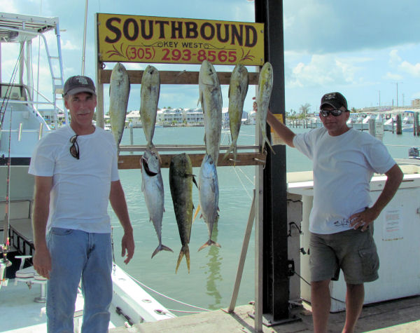 dolphin caugth in Key West fishing on Key West charter boat Southbound from Charter Boat Row