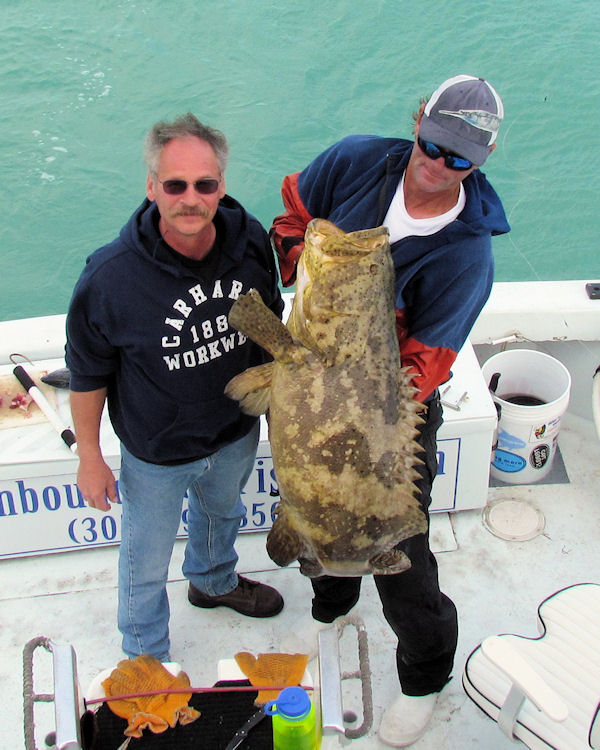 Jewfish caught and released in Key West fishing on charter boat Southbound from Charter Boat Row, Key West