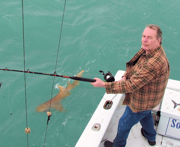 Nurse Shark caught and released in Key West fishing on charter boat Southbound from Charter Boat Row, Key West
