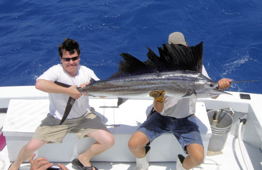 Sailfish caught on Key West deep sea fishing charter boat Southbouhd from Charter Boat Row Key West