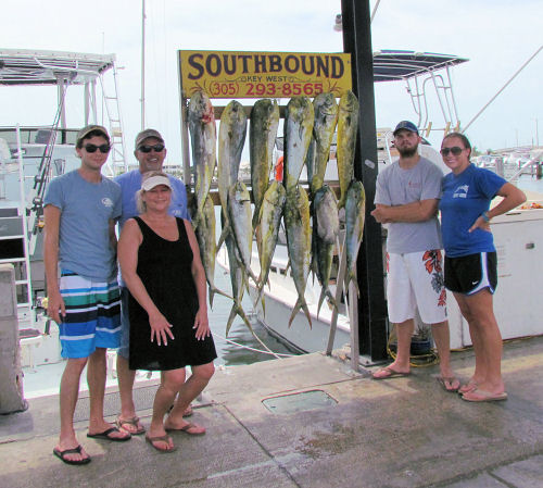 dolphin caugth in Key West fishing on chater boat Southbound from Charter Boat Row Key West
