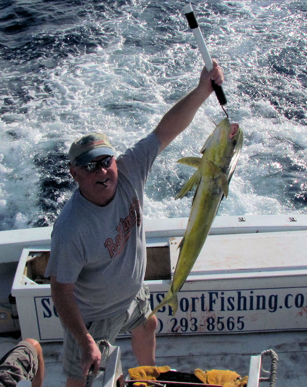 Dolphin caught in Key West fishing on charter boat Southbound from Charter Boat Row, Key West