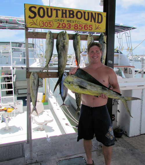 dolphin caught in Key West fishing on charter boat Southbound
