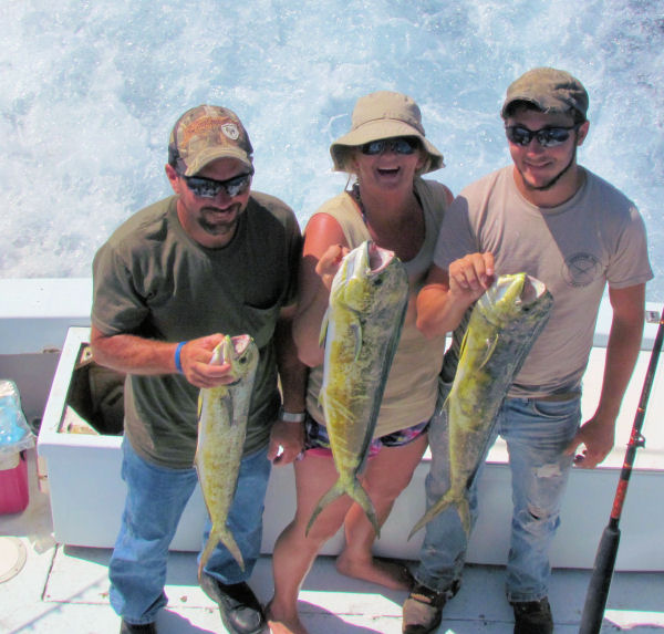 Dolphin caught in Key West fisihing on charter boat Southbound from Charter Boat Row, Key West Florida