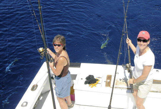 Fish caught aboard the Southbound in Key West, Florida
