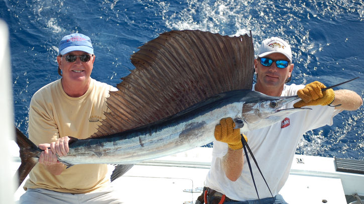 Sailfish caught aboard the Southbound in Key West, Florida