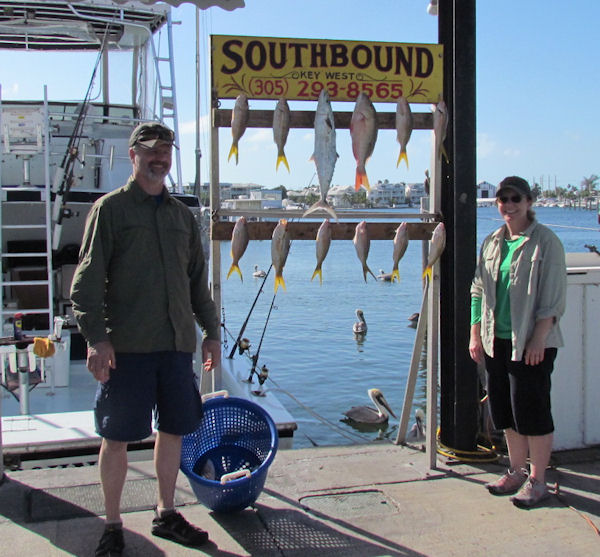 Yellow tails caught fishing Key West on charter boat Southbound from Charter Boat Row Key West