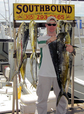 Dolphin caught fishing Key West on charter boat Southbound