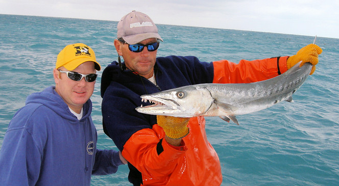 Barracuda caught fishing Key West on the charter Boat Southbound