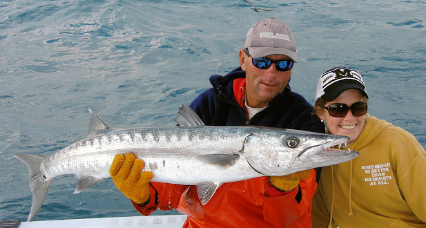 Barracuda caught fishing Key West on the charter Boat Southbound
