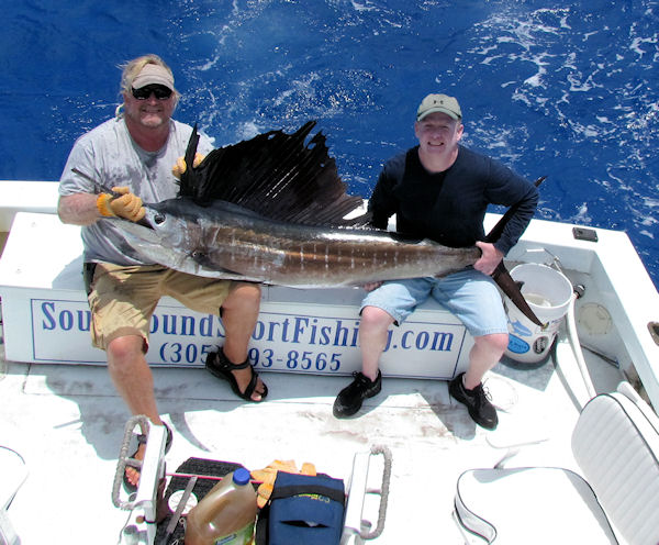Sailfish caught and released in Key West fishing on charter boat Southbound from Charter Boat Row, Key West