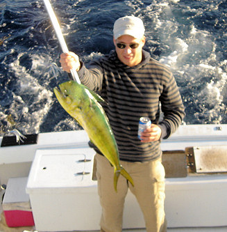 Dolphin caught fishing aboard charter boat Southbound in Key West, Florida