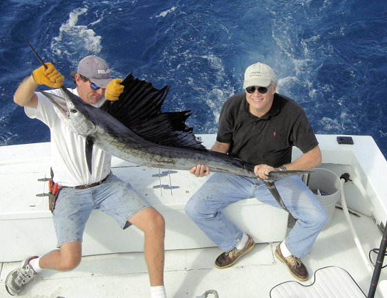 Sailfish caught fishing aboard charter boat Southbound in Key West, Florida
