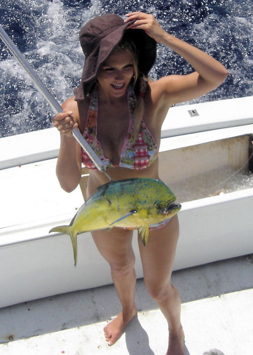 Dolphin caught in Key West fishing on Charter Boat Southbound from Charter Boat Row, Key West