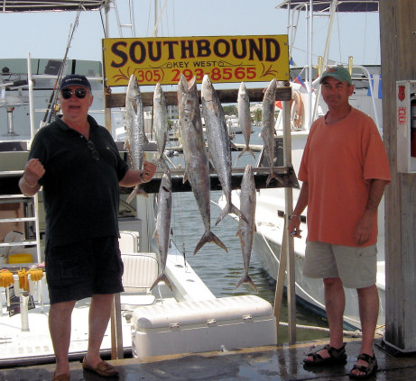 Fish caught fishing in Key West, florida on charter boat Southbound