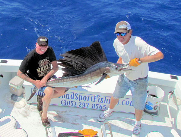 Sailfish caught and released in Key West fishing on charter boat Southbound from Charter Boat Row, Key West