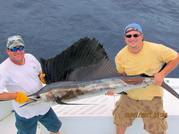 Sailfish caught and released in Key West fishing on charter boat Southbound from Charter Boat Row Key Wes
