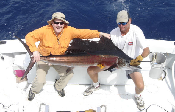 Sailfish caught deep sea fishing on Key West Charter fishing boat Southbound from Charter Boat Row, Key West