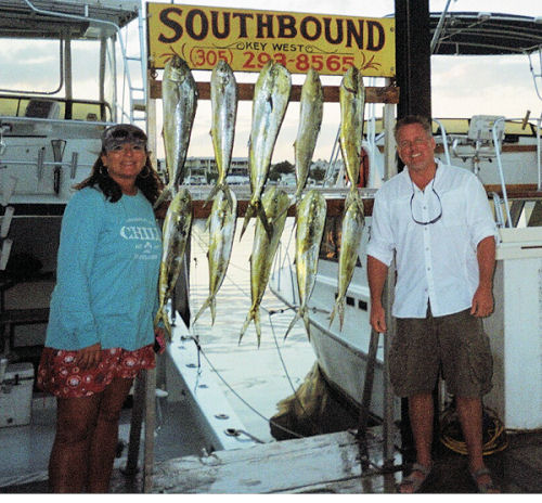 Dolphin caught fishing in Key West on Charter Boat Southbound from Charter Boat Row Key West