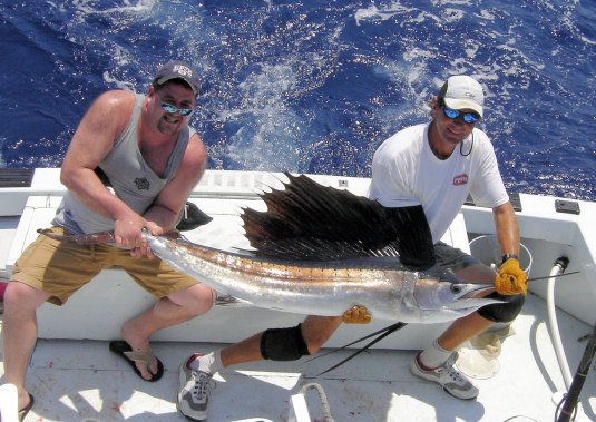 Sailfish caught and released fishing on charter boat Southbound in Key West Florida