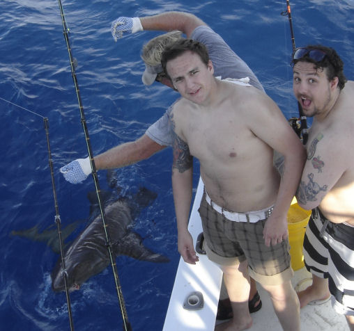 Shark caught and released while fishing Key West on charter boat Southbound from Charter Boat Row