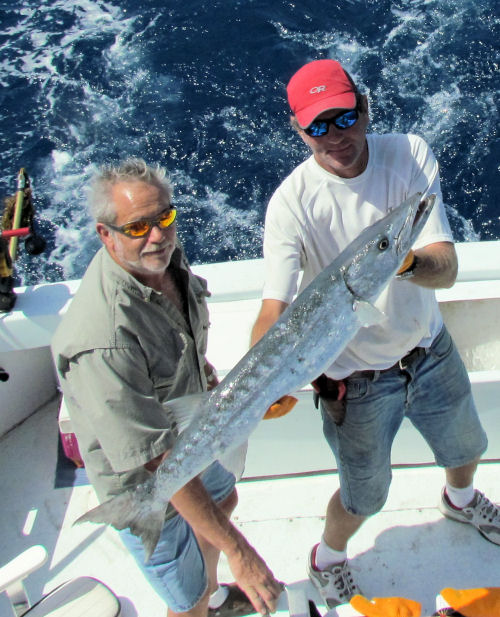 Barracuda caught in Key West fishing on charter boat Southbound from Charter Boat Row Key West