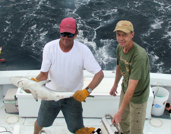 Silky Shark caught fishing in Key West on Charter Boat Southbound from Charter Boat Row Key West