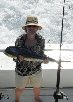 Dolphin caught fishing Key West on charter boat Southbound