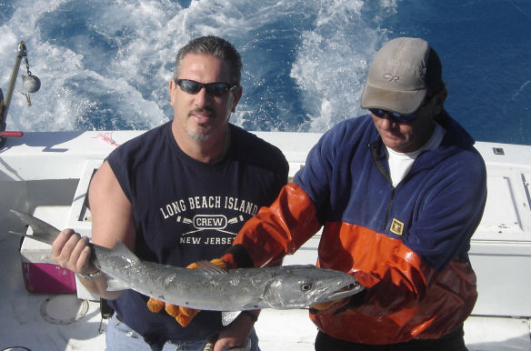 Barracuda caught in Key West fishing on charter boat Southbound from Charter Boat Row Key West Florida
