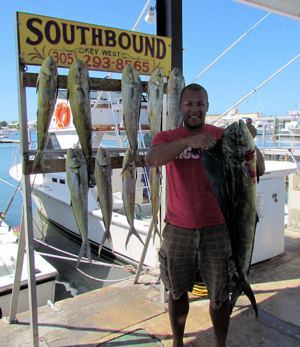 Dolphin caught in Key West fishing on charter boat Southbound from Charter Boat Row Key West