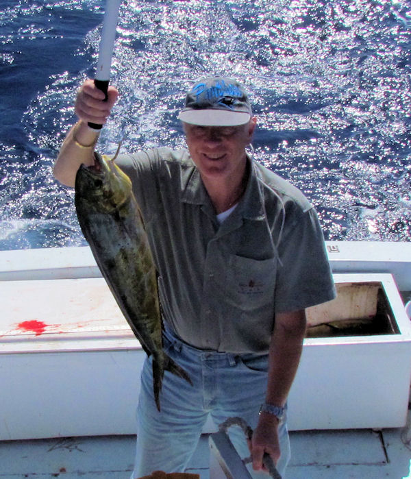 Dolphin caught in Key West fishing on charter boat Southbound from Charter Boat Row Key West