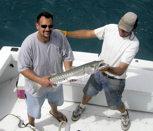 Barracuda caught in Key West fishing on charter boat Southbound from Charter Boat Row, Key West