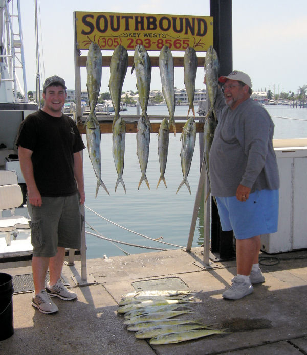 dolphin caugth in Key West fishing on Key West charter boat Southbound from Charter Boat Row