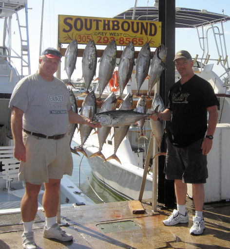 Black Fin Tuna caught in Key West fishing on Key West charter boat Southbound from Charter Boat Row, Key West
