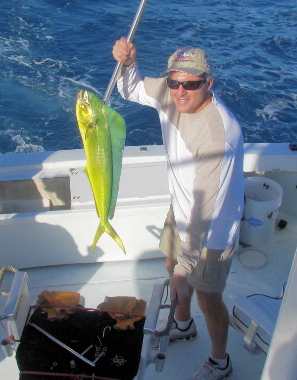Dolphin caught fishing in Key West on Charter Boat Southbound from Charter Boat Row Key West