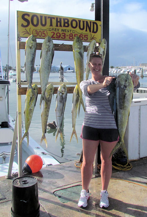 Dolphin caught fishing in Key West on Charter Boat Southbound from Charter Boat Row Key West